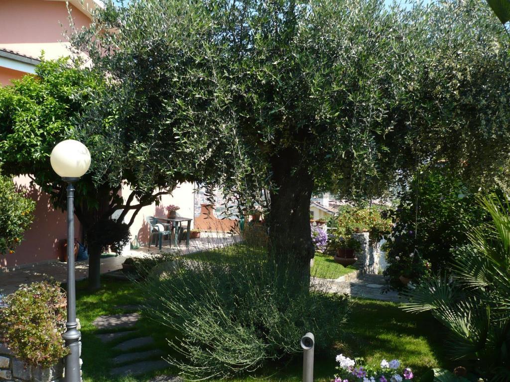 Alojamento de Turismo Rural Azienda Agrituristica Arianna