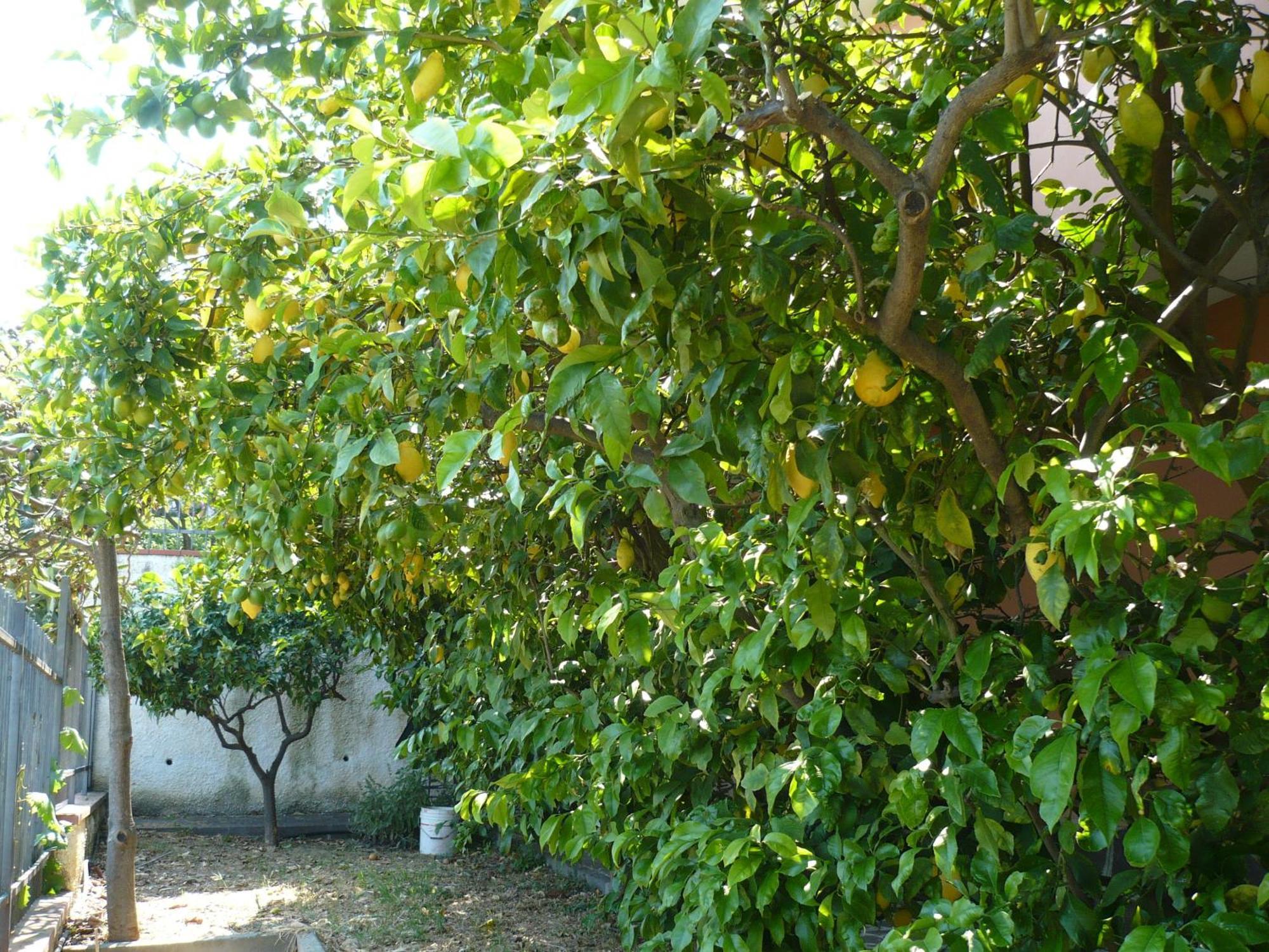 Alojamento de Turismo Rural Azienda Agrituristica Arianna *