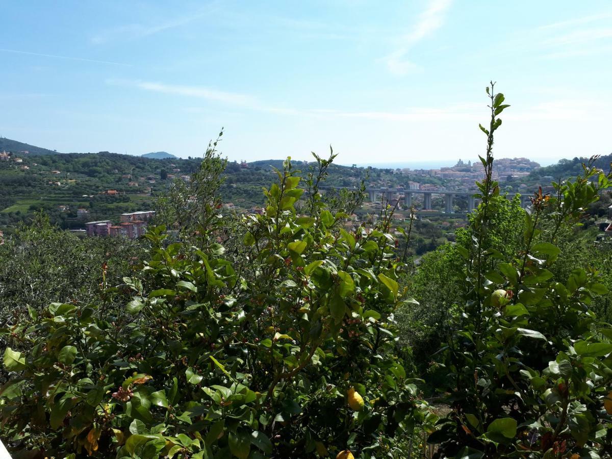 Azienda Agrituristica Arianna * Imperia